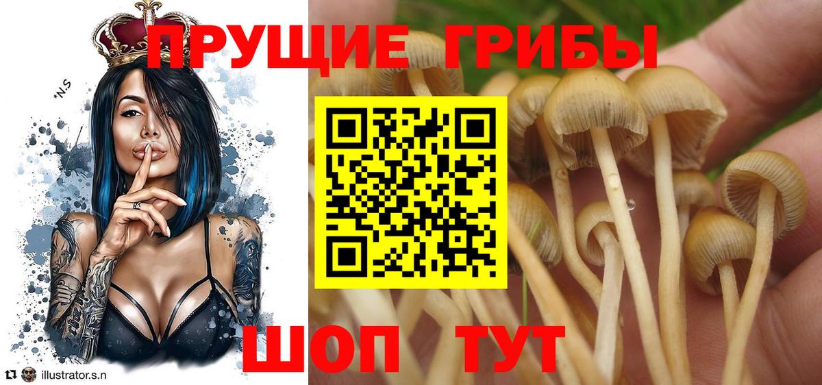 Изобильный  Галлюциногенные грибы мицелий  Вход с VPN 